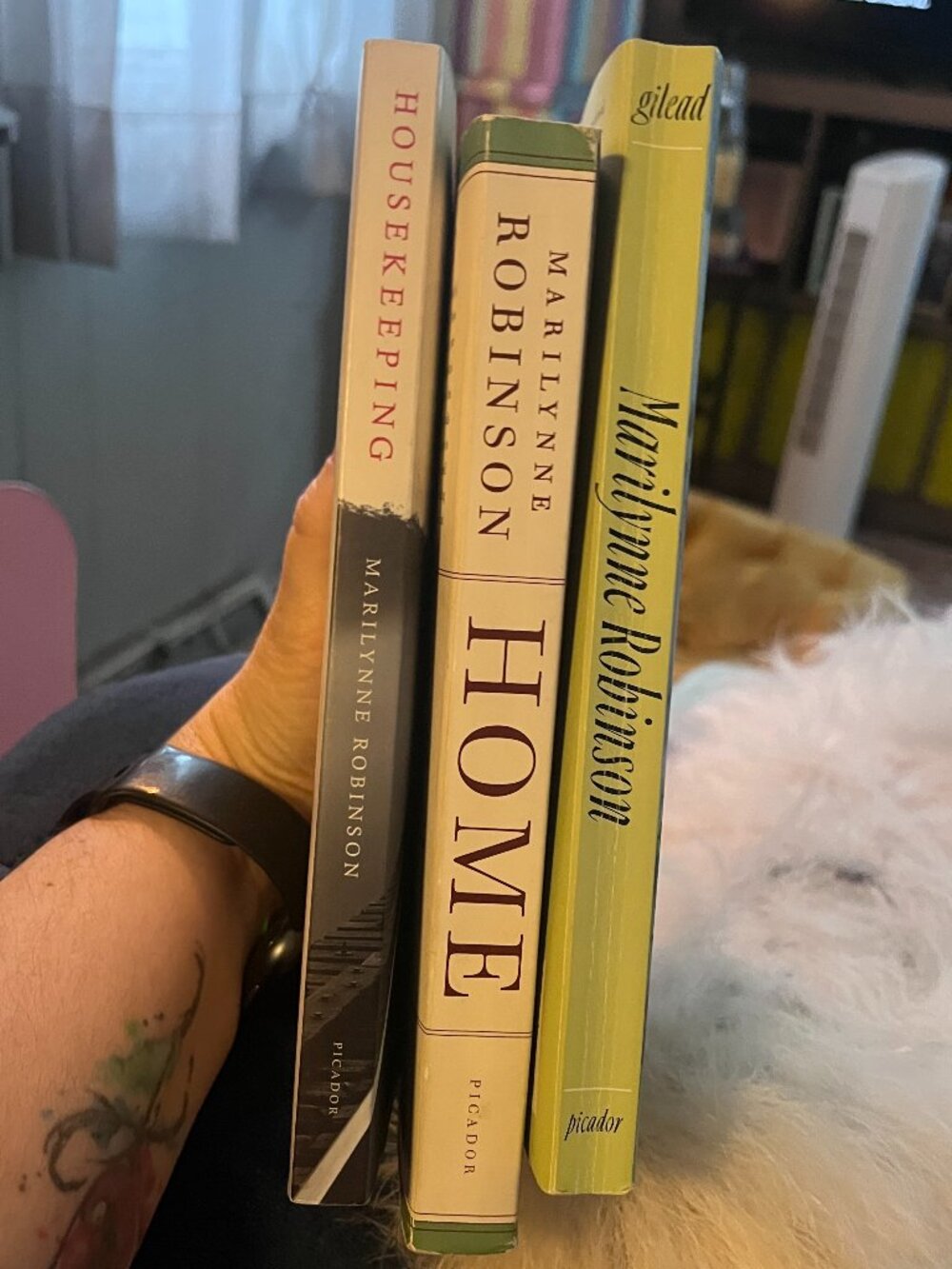 Marilynne Robinson Book Bundle